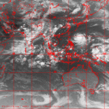 fy2c2005071515.01i_IR1.gif