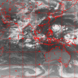 fy2c2005071520.01i_IR1.gif