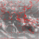 2006030501.01F.IR2.gif