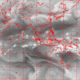 2006031122.57F.IR3.gif