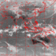 2006031504.57F.IR1.gif