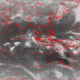 2006031801.01F.IR2.gif