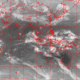 2006032601.01F.IR2.gif