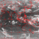 2006043022.57F.IR1.gif