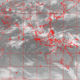 2006063016.56F.IR1.gif