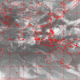 2006071016.01F.IR1.gif