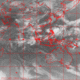 2006071016.56F.IR2.gif