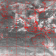 2006071501.00F.IR1.gif