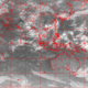 2006071518.00F.IR1.gif