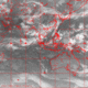 2006071616.56F.IR1.gif