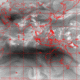 2006071716.56F.IR3.gif