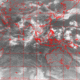 2006071722.56F.IR1.gif