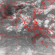 2006071804.57F.IR1.gif