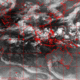 2006072016.01F.IR1.gif