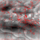 2006072019.00F.IR3.gif