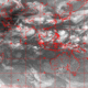 2006072113.01F.IR1.gif