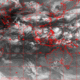 2006072114.01F.IR1.gif