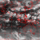 2006072116.01F.IR1.gif