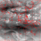 2006072116.56F.IR3.gif