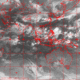 2006072118.00F.IR1.gif