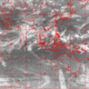 2006072716.56F.IR1.gif