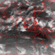 2006072901.00F.IR2.gif