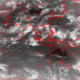 2006072902.01F.IR2.gif