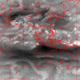 2006072916.56F.IR3.gif