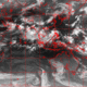 2006073116.00F.IR1.gif