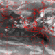 2006100422.57F.IR1.gif