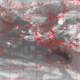 2006100500.01F.IR1.gif