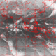 2006111220.01F.IR1.gif