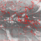 2006111221.01F.IR1.gif