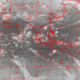 2006111315.01F.IR1.gif