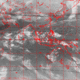 2006111510.00F.IR1.gif