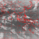 2006111510.00F.IR2.gif