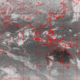 2006111601.01F.IR2.gif