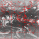 2006111718.01F.IR1.gif