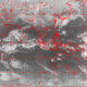 2006112214.01F.IR1.gif