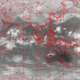 2006112223.31F.IR1.gif