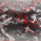 2006112614.01F.IR1.gif