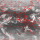 2006112614.01F.IR2.gif