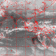 2007010508.00F.IR1.gif