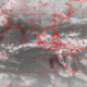 2007010509.00F.IR1.gif