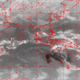 2007010603.00F.IR1.gif