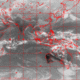 2007010607.00F.IR1.gif