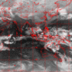 2007010614.01F.IR1.gif