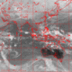 2007010901.00F.IR1.gif