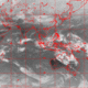 2007011109.01F.IR1.gif