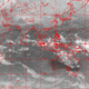 2007011200.00F.IR1.gif